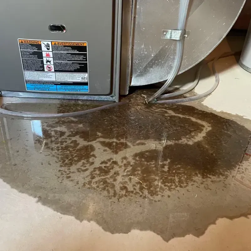 Appliance Leak Cleanup in Hunters Creek Village, TX